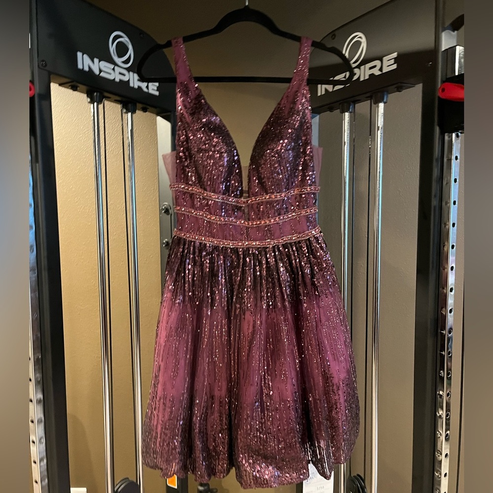 New with tags hoco dress, never worn comes with garment bag. Such pretty details